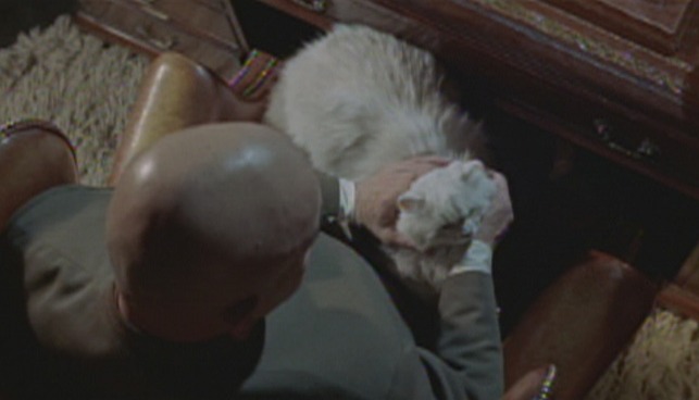 On Her Majesty's Secret Service - Blofeld's cat