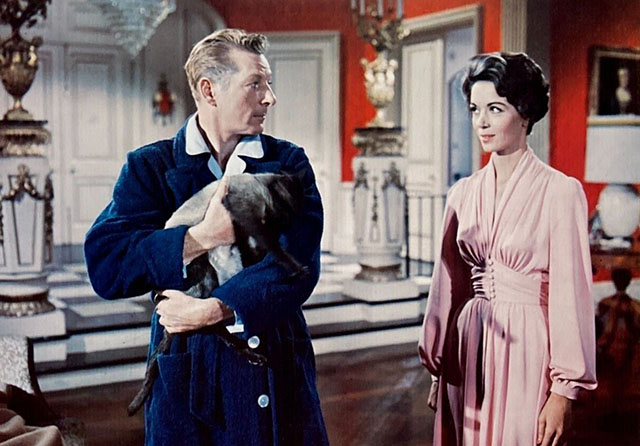 On the Double - publicity still of Ernie Williams Danny Kaye holding Siamese cat Kim with Lady Margaret Dana Wynter