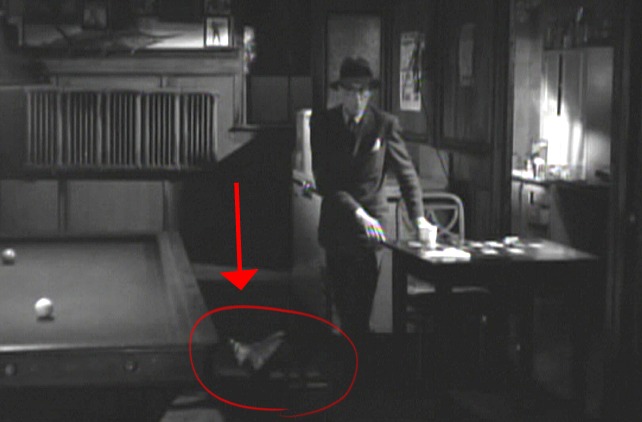 On the Waterfront Purr Blur