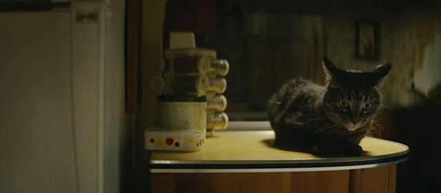 Onyx the Fortuitous and the Talisman of Souls - brown tabby cat Puck