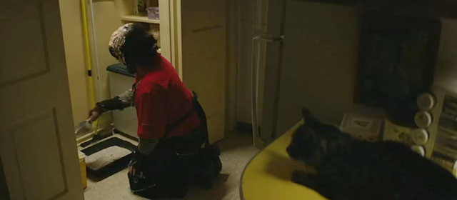 Onyx the Fortuitous and the Talisman of Souls - brown tabby cat Puck watching Onyx Andrew Bowser clean litter box