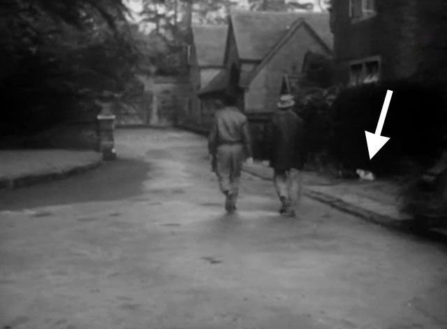 Operation Stogie - Ted John Hewer and Jock Anton Rodgers walking past bicolor cat on side of road