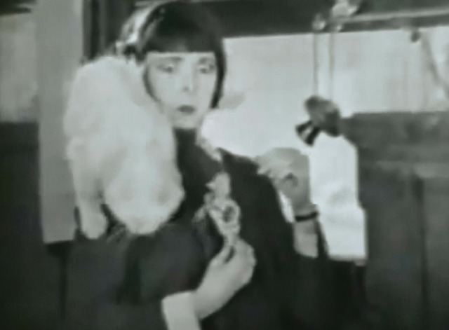 Orchids and Ermine - white long haired cat jumps down from Colleen Moore's shoulders