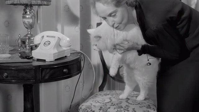 Orders to Kill - Lillian Gish picking up longhair white cat from chair