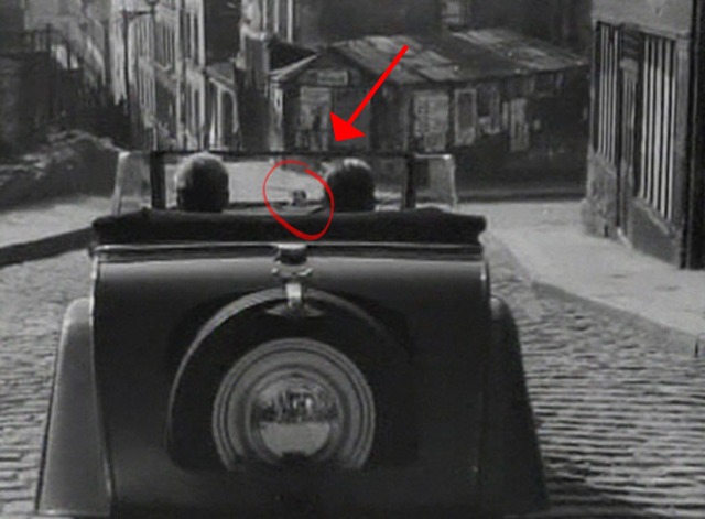 Orpheus - cat on street in distance