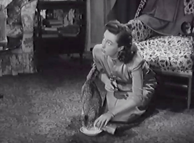 O.S.S. - Ellen Geraldine Fitzgerald giving tabby cat Jean-Jacque a saucer of milk on floor