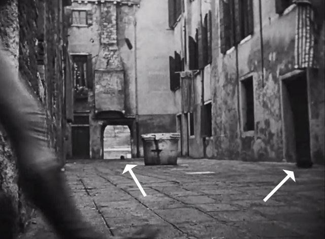 Othello - Venice cats in courtyard