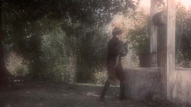 The Other - Holland Martin Udvarnoky trying to throw tabby and white cat down well