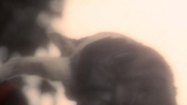 The Other - blurry close up of tabby and white cat