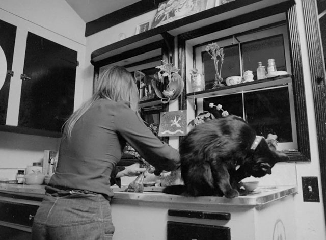 The Other Side of Madness - black cat preening foot on kitchen sink with female at sink