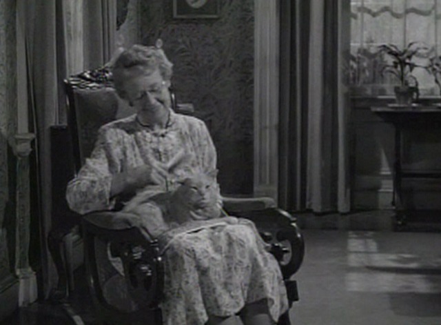 Our Miss Brooks movie - Orangey as Minerva cat on Mrs. Davis' lap