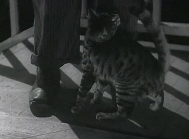 Our Town - tabby cat at milkman's feet