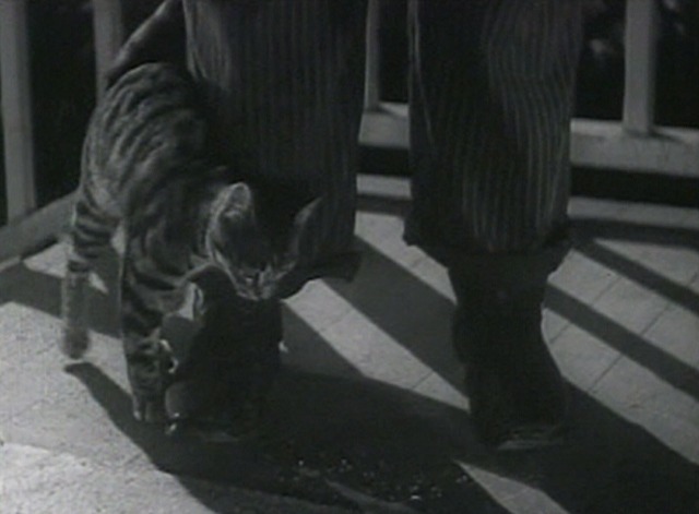 Our Town - tabby cat rubs against milkman's leg