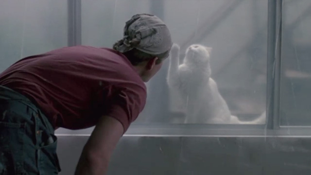 Pacific Heights - longhaired white cat Kitty on windowsill behind plastic with Drake Matthew Modine