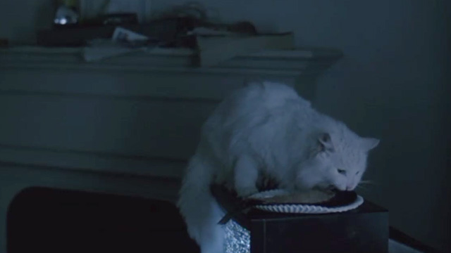 Pacific Heights - longhaired white cat Kitty eating from paper plate on television