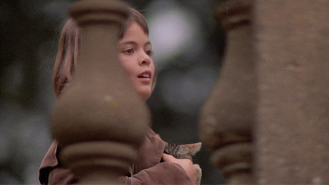 Paganini - Achille Nikolai Kinski behind stone railing holding brown and white tabby kitten
