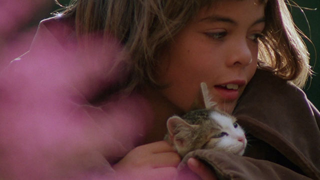 Paganini - Achille Nikolai Kinski holding brown and white tabby kitten