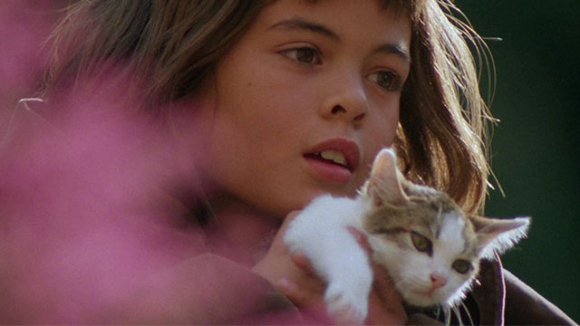 Paganini - Achille Nikolai Kinski holding brown and white tabby kitten