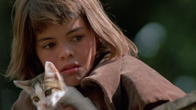 Paganini - Achille Nikolai Kinski holding brown and white tabby kitten