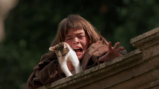 Paganini - Achille Nikolai Kinski screaming while holding brown and white tabby kitten