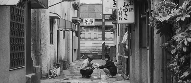 Pale Flower - Kawaita hana - two boys in alley introducing tabby cat to white dog