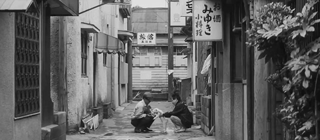 Pale Flower - Kawaita hana - black cat caricature on signage