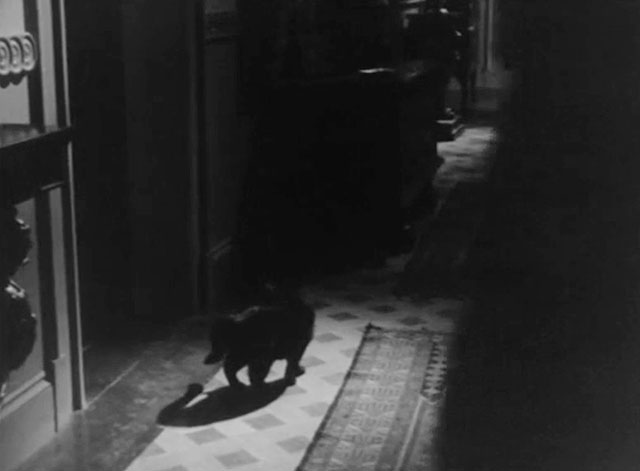 The Paper Gallows - Torment - black cat being approached by man in corridor