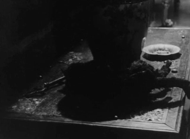 The Paper Gallows - Torment - stiff body of fake black cat on table