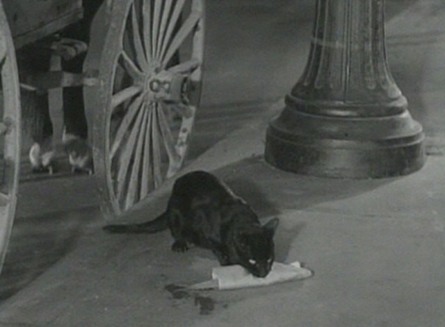 Parachute Jumper - black cat crouched on sidewalk with fish