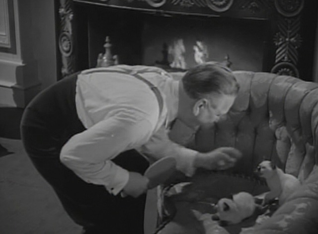 Paradise for Three - Siamese kittens in chair