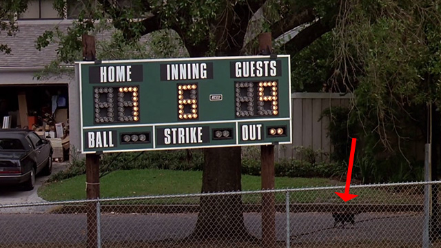 Parenthood - black and white cat walking outside chain link fence by scoreboard