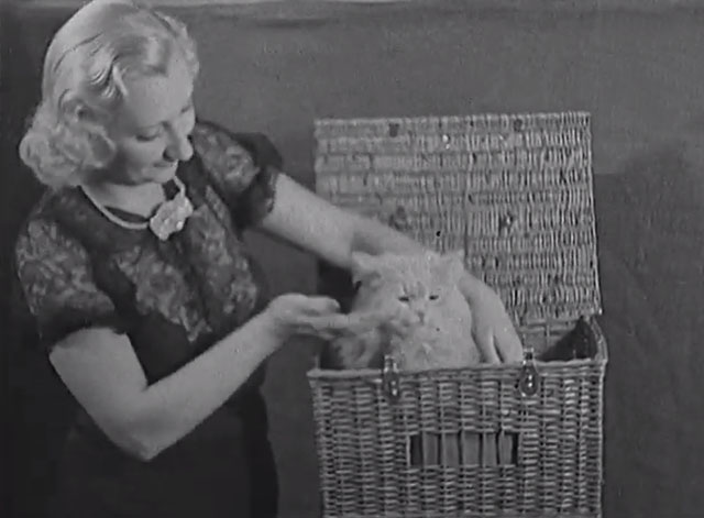 Paris Cat Show 1938 - woman showing Persian cat in basket