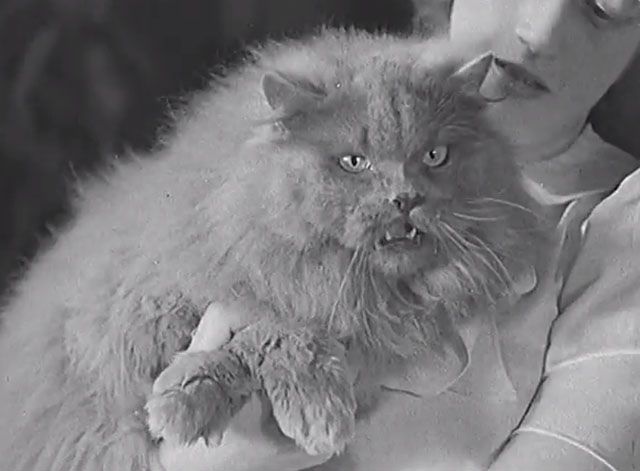 Paris Cat Show 1938 - Persian cat held by woman
