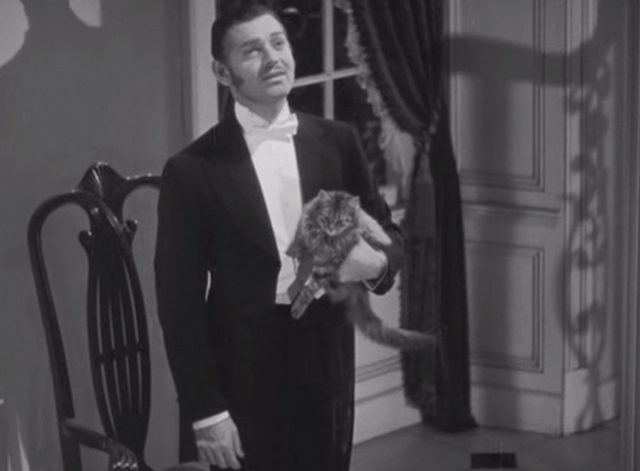 Parnell - Parnell Clark Gable holding Maine Coon tabby cat Erasmus