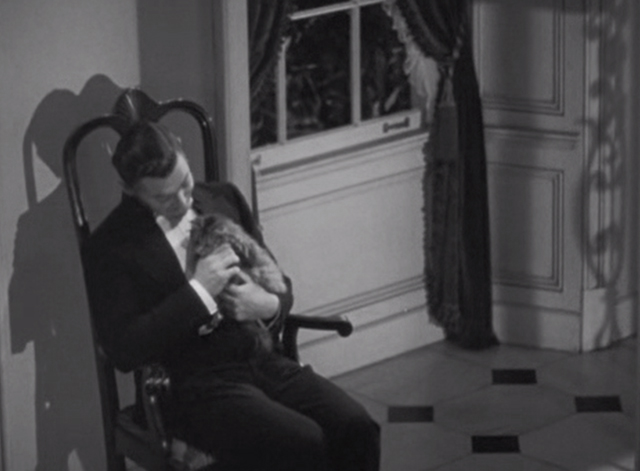 Parnell - Parnell Clark Gable talking to Maine Coon tabby cat Erasmus 