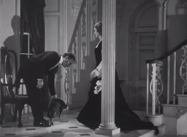Parnell - Parnell Clark Gable setting down Maine Coon tabby cat Erasmus when Katie Myrna Loy approaches