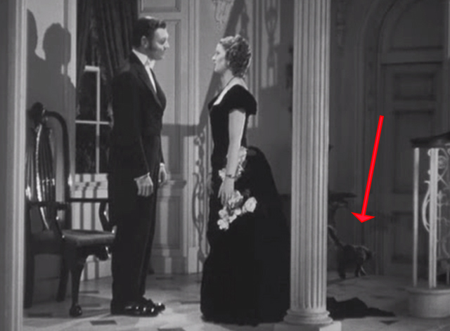 Parnell - Parnell Clark Gablewhen Katie Myrna Loy with Maine Coon tabby cat Erasmus walking away in background