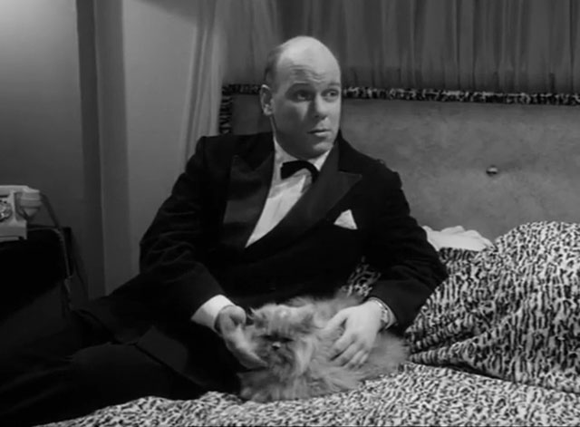 Part-Time Wife - Drew Kenneth J. Warren sitting with gray Persian cat on bed