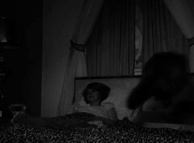 Part-Time Wife - Jenny Nyree Dawn Porter lying on bed with gray Persian cat being thrown at her