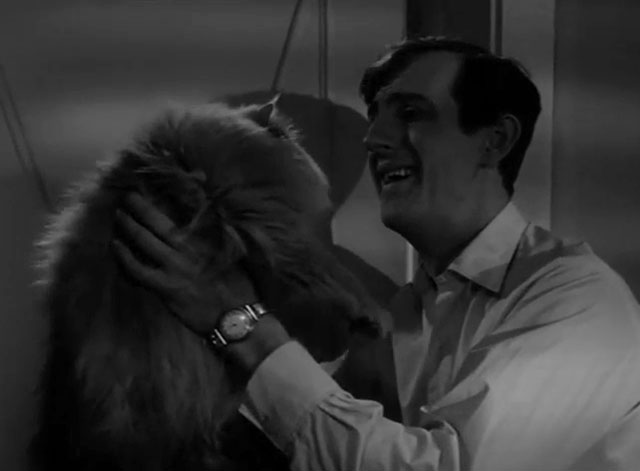 Part-Time Wife - Tom Anton Rodgers holding up gray Persian cat