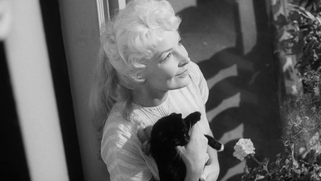 Passport to Shame - Room 43 - Malou Odile Versois holding black and white tuxedo kitten Mignon