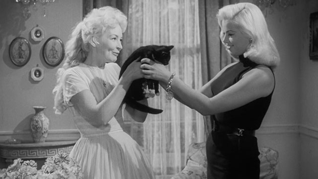 Passport to Shame - Room 43 - Malou Odile Versois holding up black and white tuxedo kitten Mignon to show Vicki Diana Dors