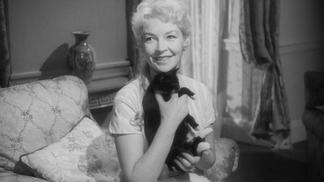 Passport to Shame - Room 43 - Malou Odile Versois hugging black and white tuxedo kitten Mignon