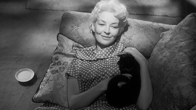 Passport to Shame - Room 43 - Malou Odile Versois cuddling with black and white tuxedo kitten Mignon