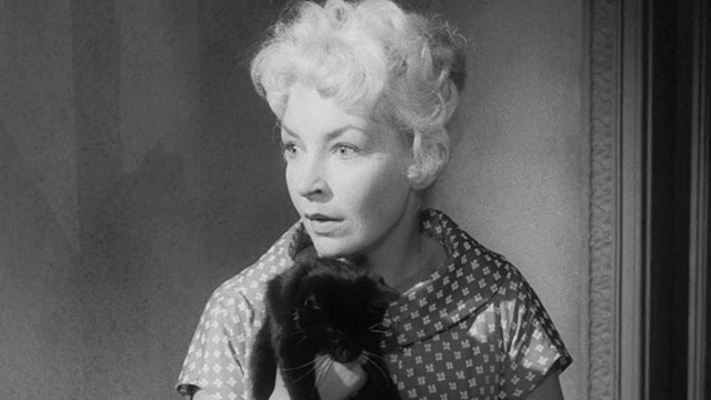 Passport to Shame - Room 43 - Malou Odile Versois looking shocked while holding black and white tuxedo kitten Mignon