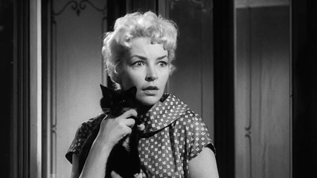 Passport to Shame - Room 43 - Malou Odile Versois looking shocked while holding black and white tuxedo kitten Mignon