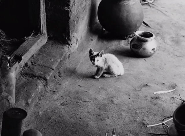 Pather Panchali - kitten sitting outside door