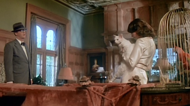Peeper - Michael Caine approaches Natalie Wood holding white cat