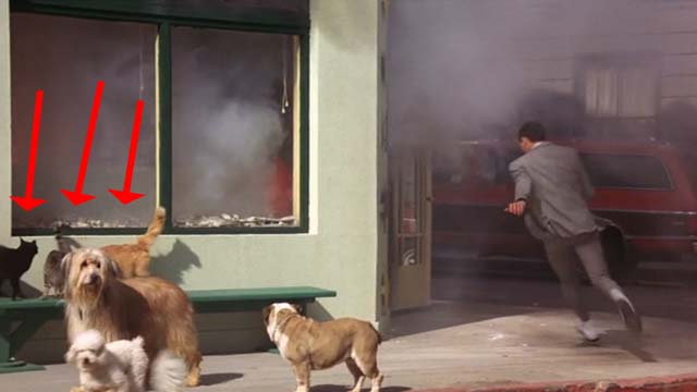 Pee Wee's Big Adventure - cats on bench outside burning pet shop