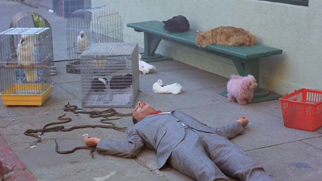 Pee Wee's Big Adventure - cats on bench outside burning pet shop with fainted Pee-Wee Herman on sidewalk